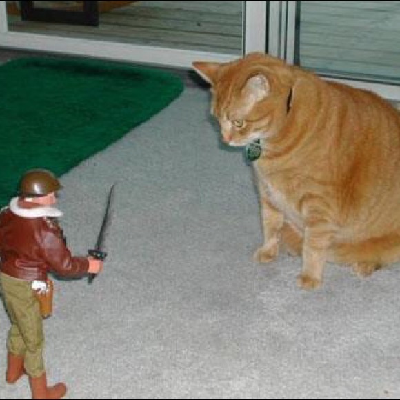 Meet your Posher, Marni - Picture 1 of 1